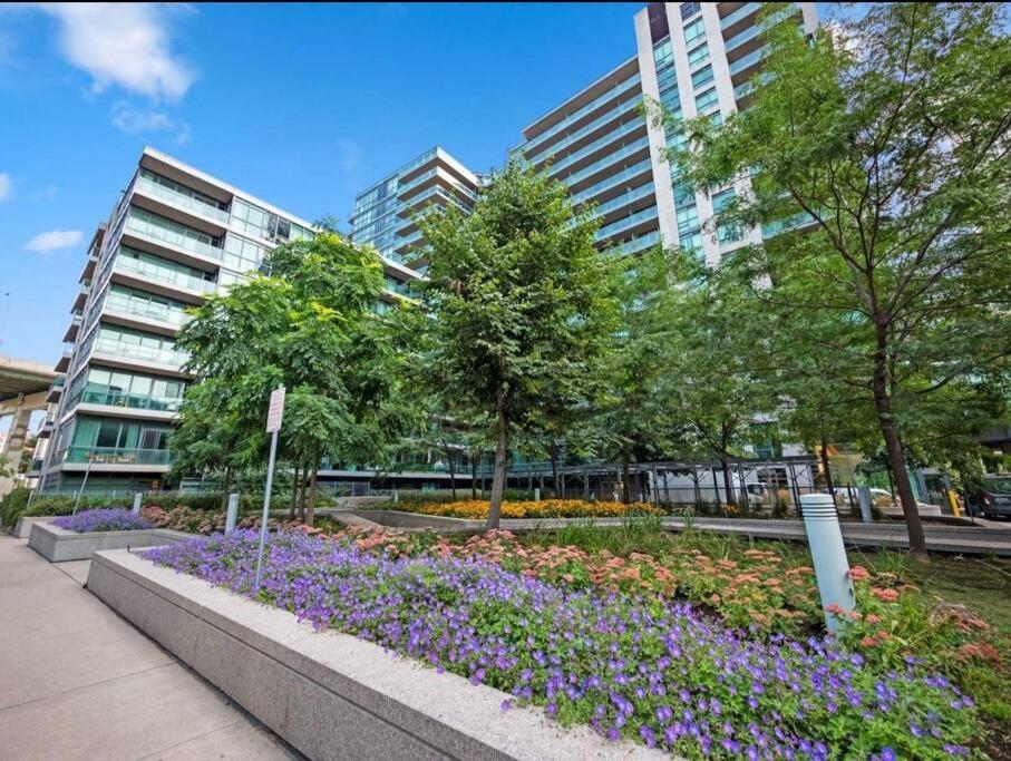 Cn Tower View With Free Parking, Pool, & More Amenities Торонто Екстериор снимка